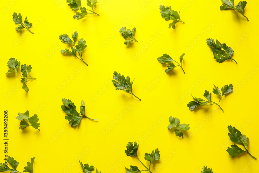 Fresh parsley on color background