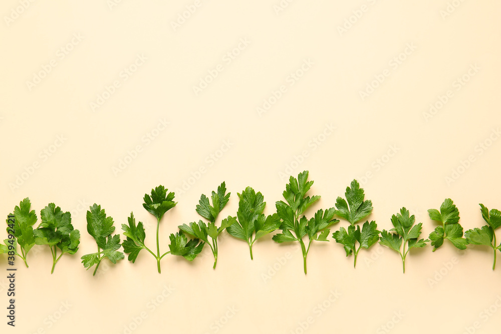 Fresh parsley on color background