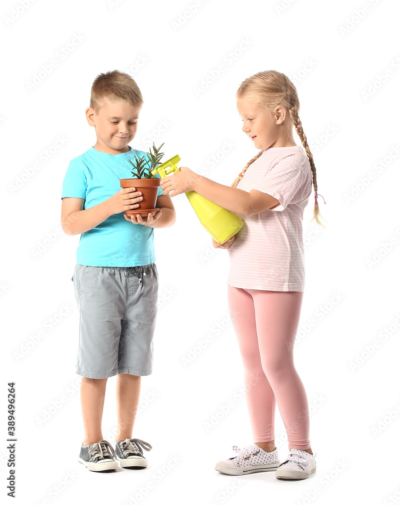 Cute little children with houseplant and sprayer on white background