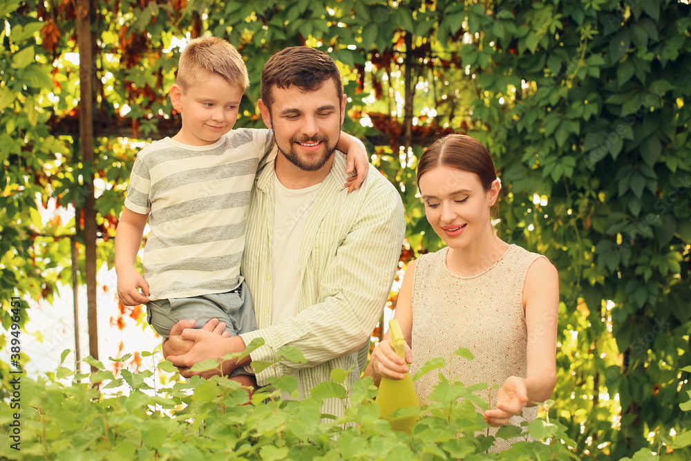 Happy young family in greenhouse