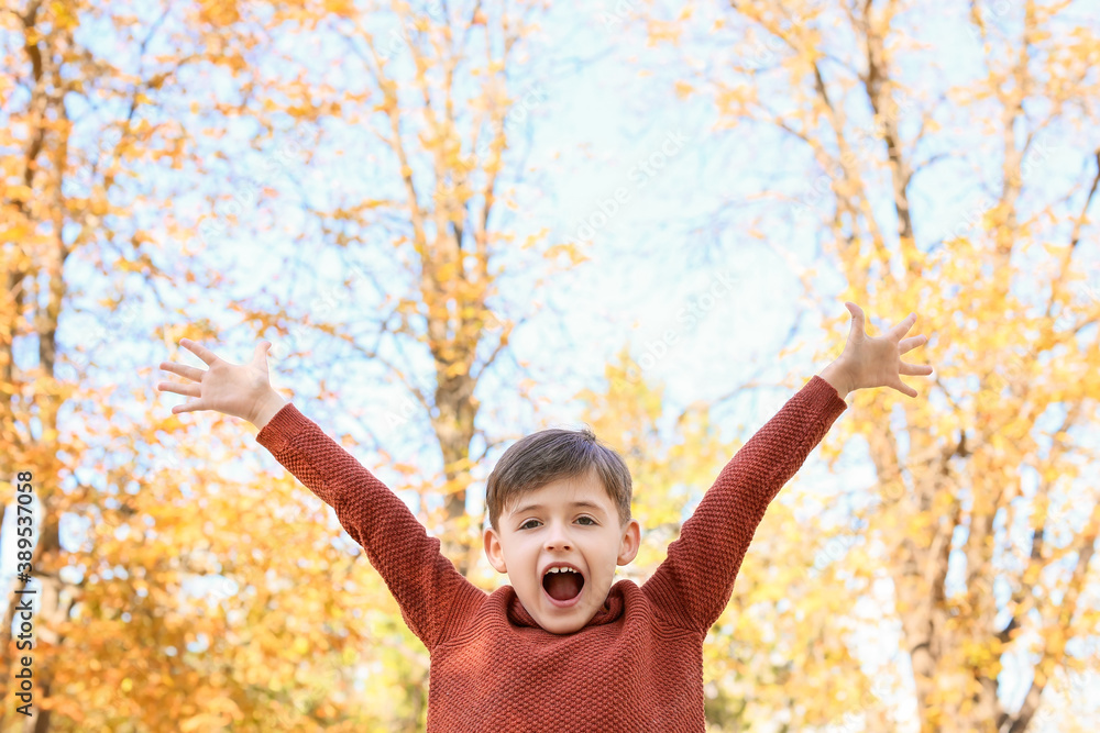 Happy little boy in autumn park