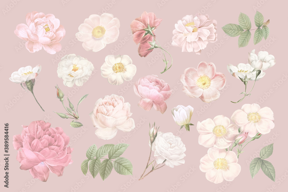 Blooming elegant floral design collection