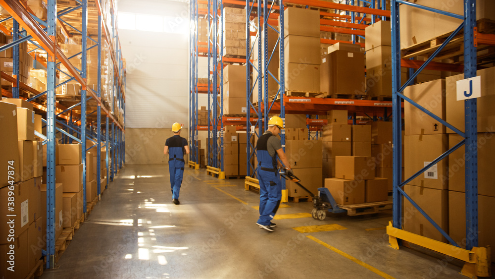 Retail Delivery Warehouse full of Shelves with Goods in Cardboard Boxes, Workers Scan and Sort Packa