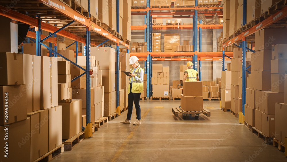 Retail Warehouse full of Shelves with Goods in Cardboard Boxes, Workers Scan and Sort Packages, Move