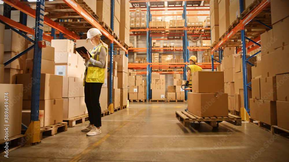 Retail Warehouse full of Shelves with Goods in Cardboard Boxes, Workers Scan and Sort Packages, Move