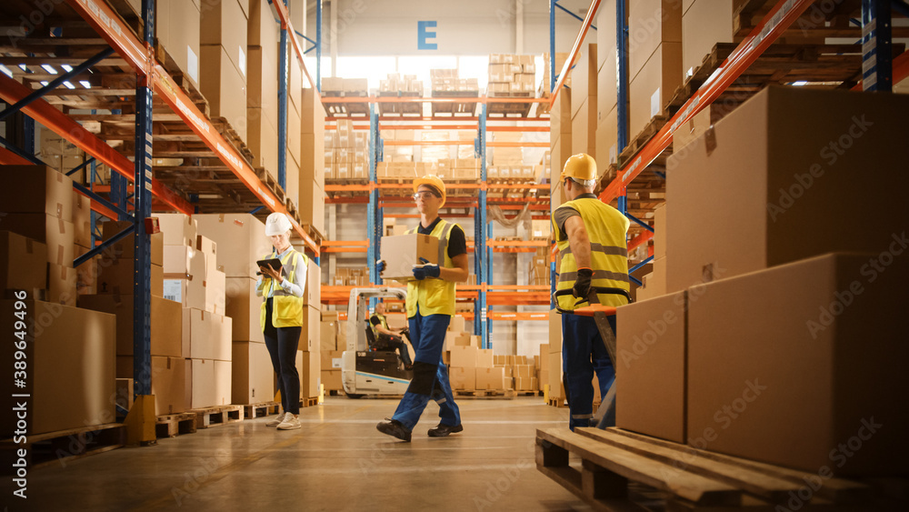 Retail Warehouse full of Shelves with Goods in Cardboard Boxes, Workers Scan and Sort Packages, Move