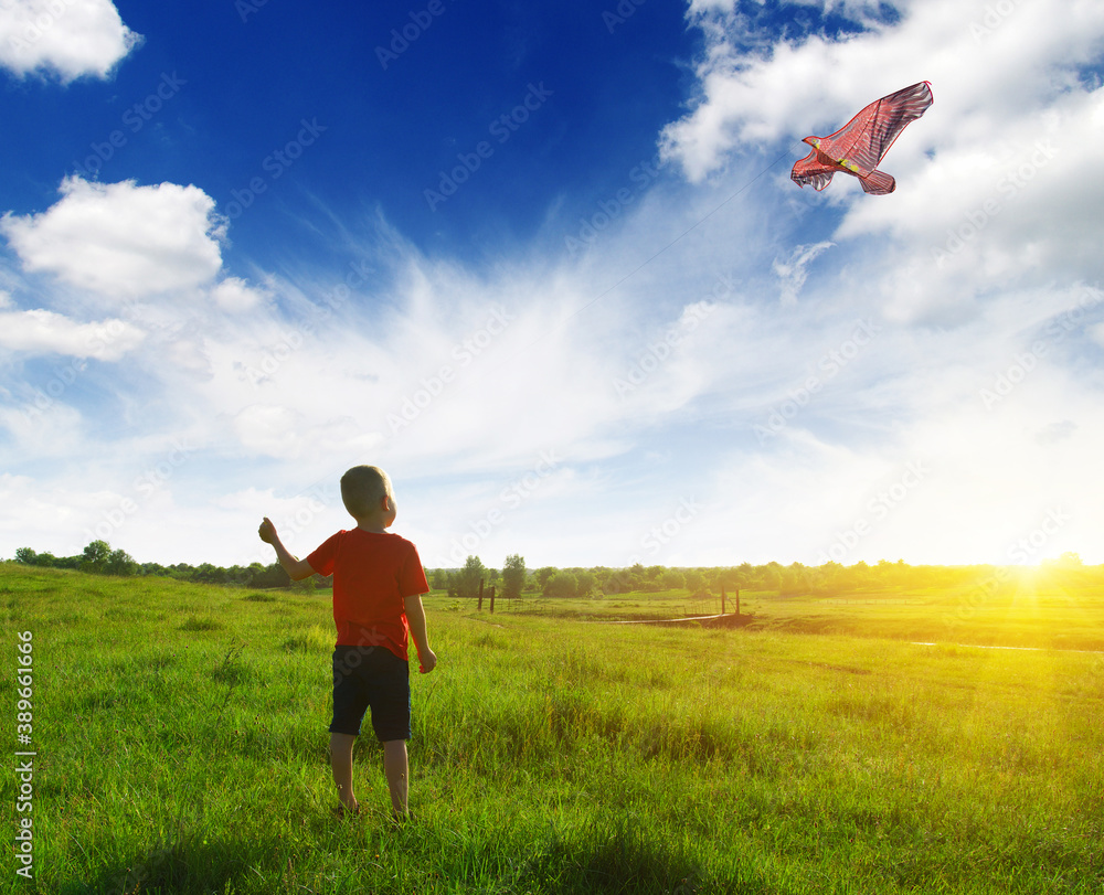 child with kite on field