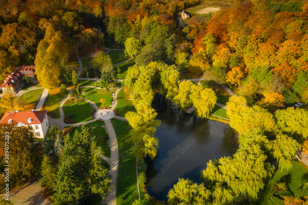 Beautiful autumn in the park of Gdansk Orunia. Poland