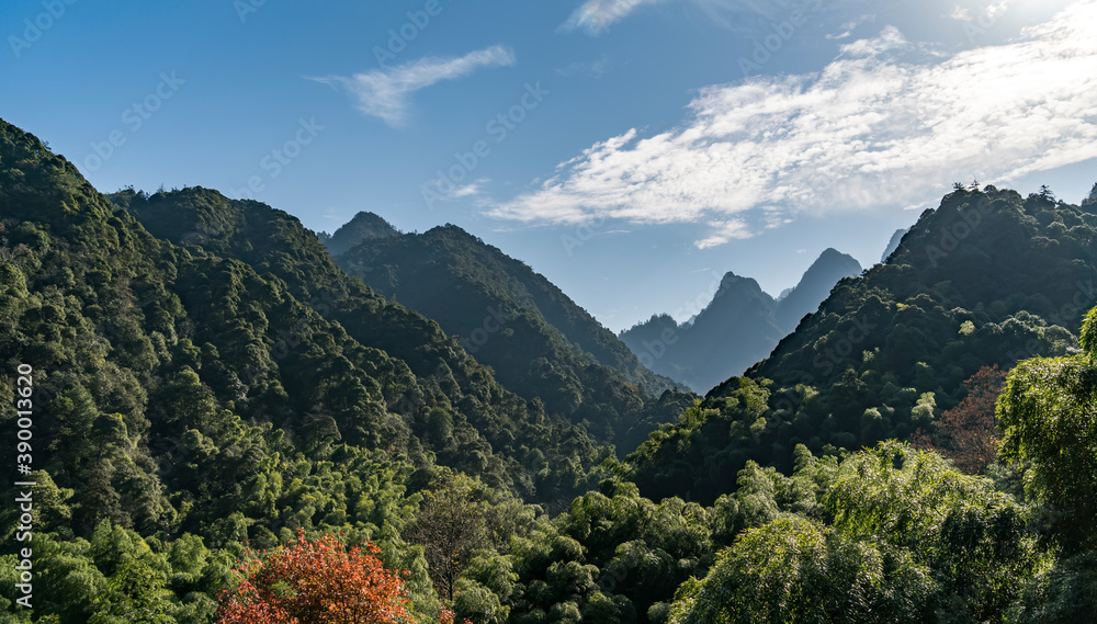 黄山（黄山）景观。联合国教科文组织世界遗产。位于美国黄山