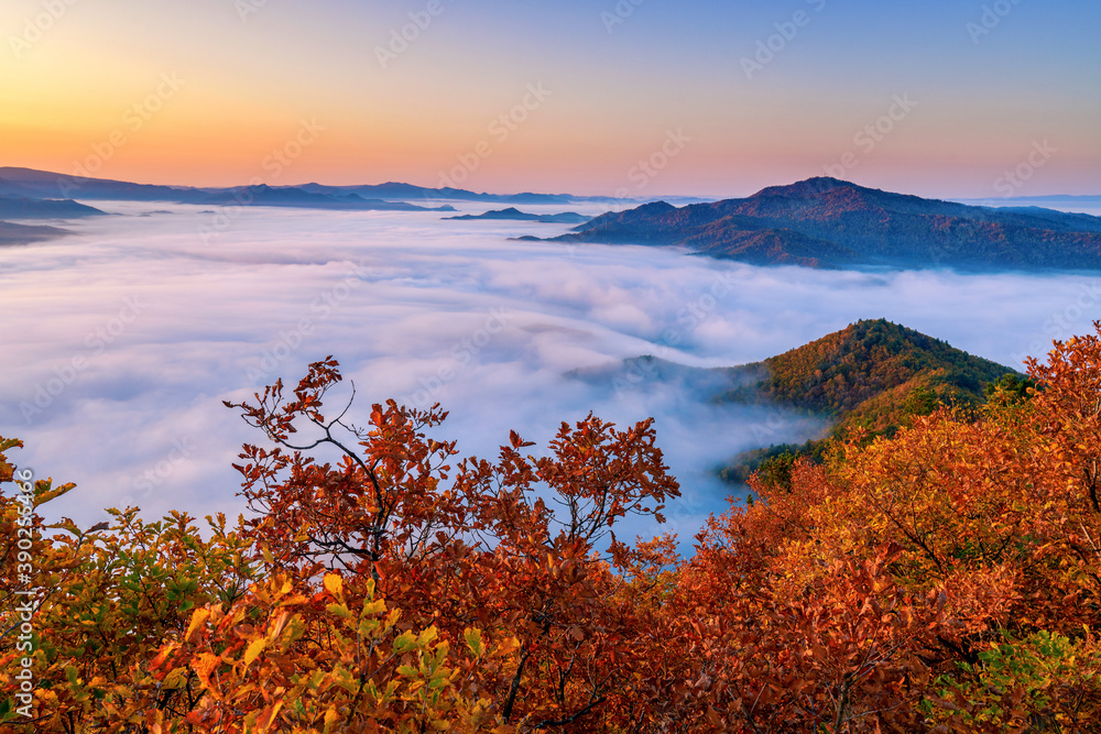 The beautiful autumn sea of clouds sunrise of Singanense of China.