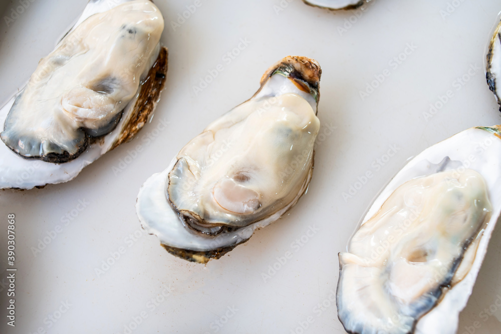 Zhanjiang oysters in the aquatic market