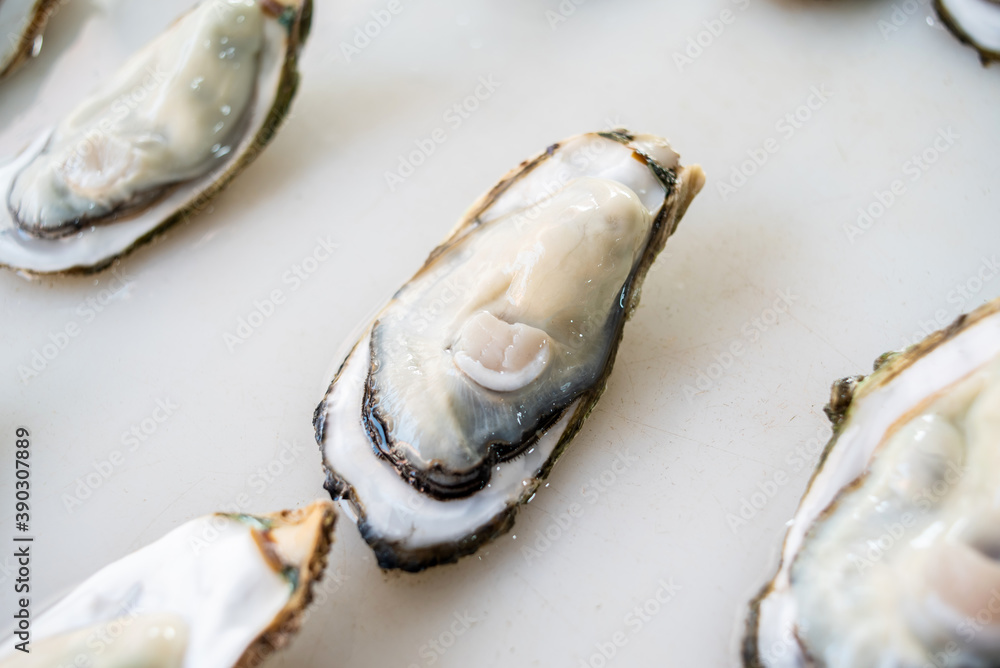 Zhanjiang oysters in the aquatic market