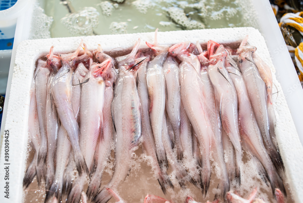 Chilled leading fish in the aquatic market