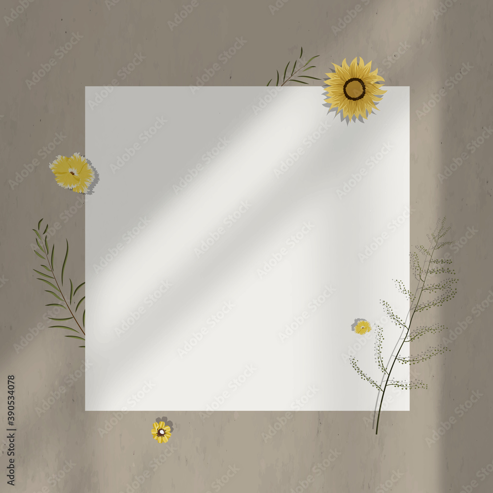 Wall shadow blank paper frame with flower decoration