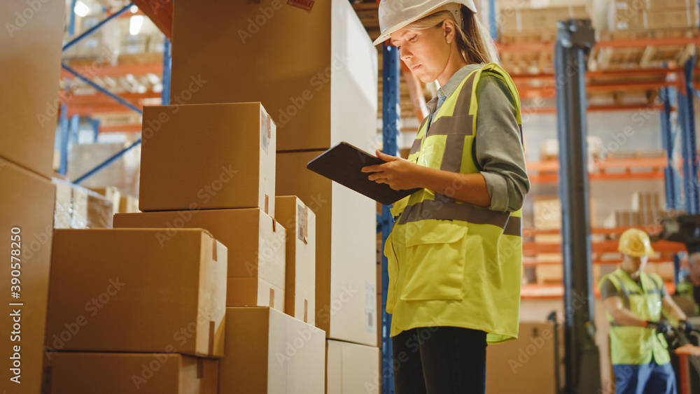 Retail Warehouse full of Shelves with Goods in Cardboard Boxes, Female Worker Scans and Sorts Packag