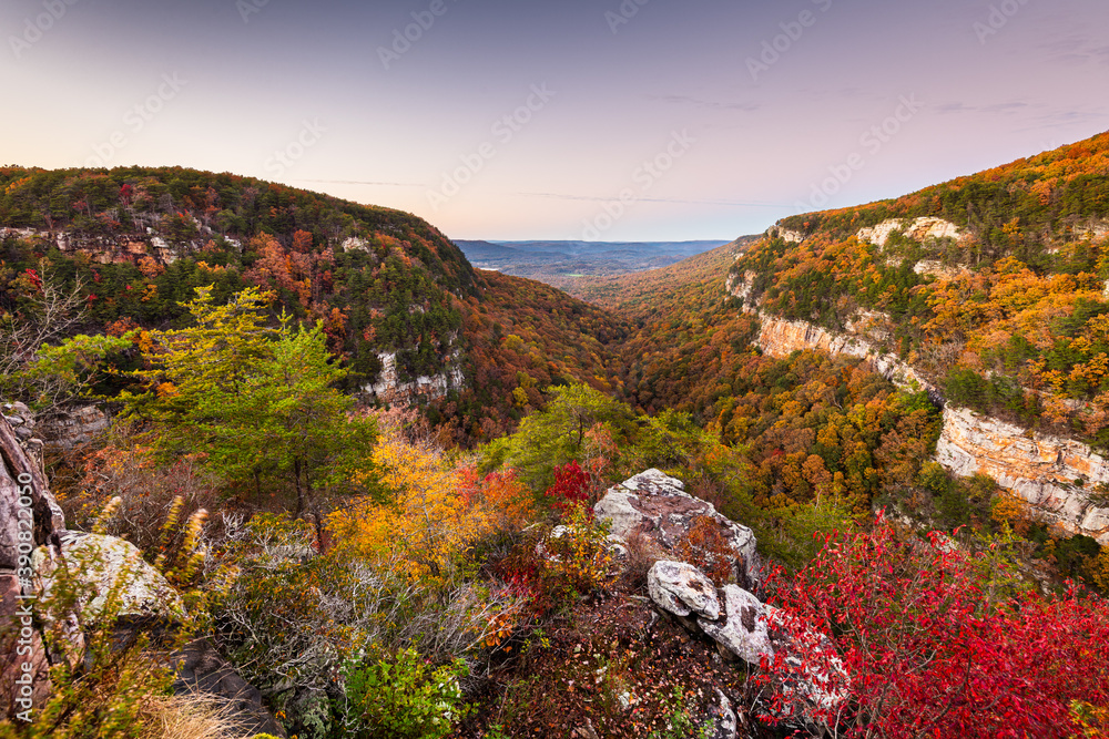 美国乔治亚州Cloudland Canyon