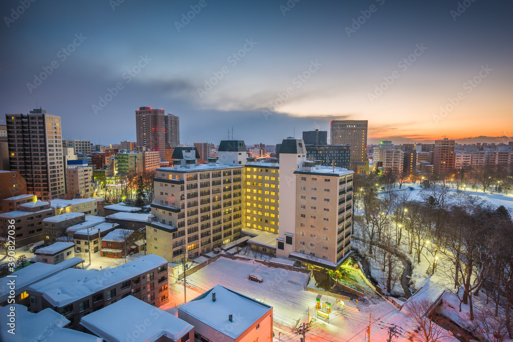 日本札幌中岛公园天际线