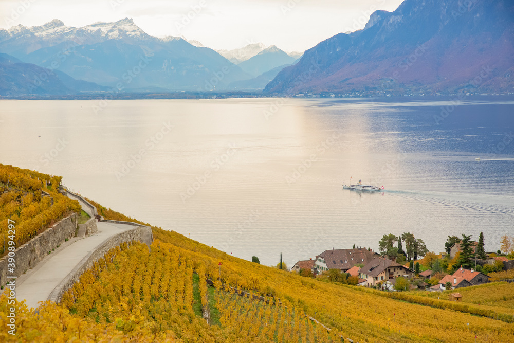 High-angle view landscape autumn leaves of Vineyard lake at Lausanne city in October of the year. On