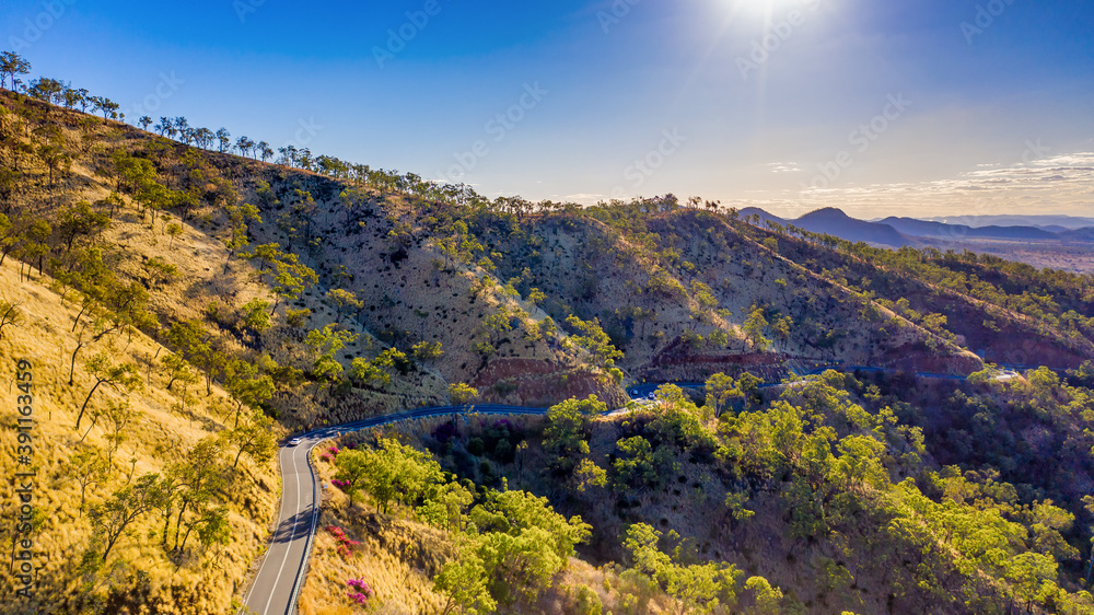 蜿蜒的道路，前景是摩根山的野花