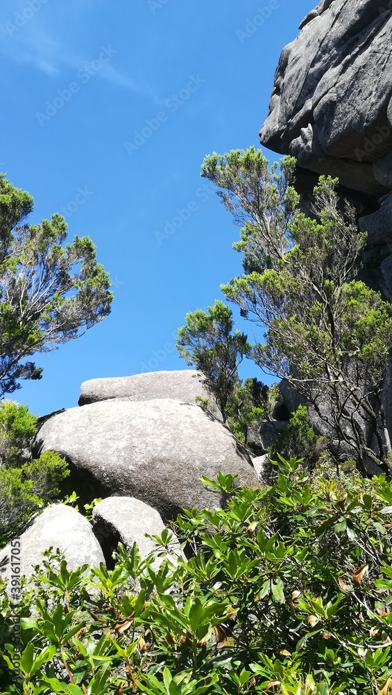 岩石、景观、山脉、自然、石头、树木、天空、岩石、夏天、蓝色、绿色、森林、草地、山丘