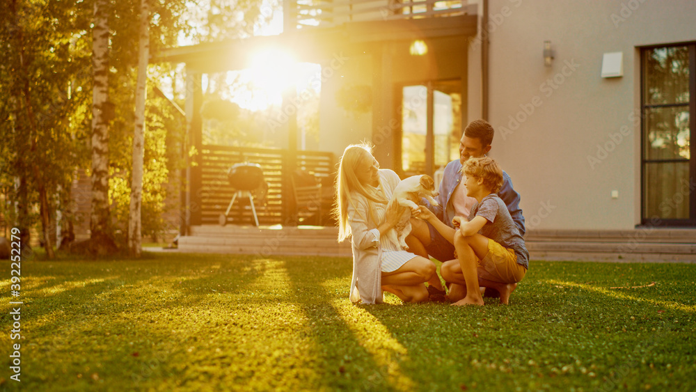 Smiling Father, Mother and Son Pet and Play with Smooth Fox Terrier Retriever Dog. Sun Shines on Idy