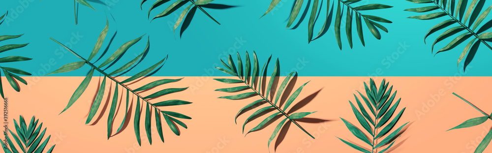 Tropical palm leaves from above - flat lay