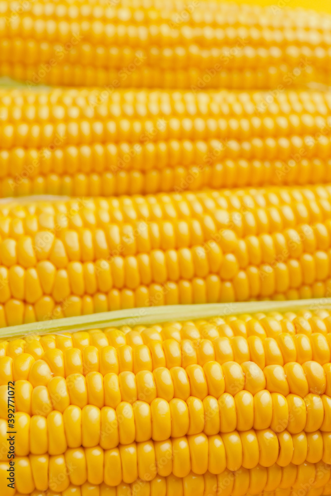 Fresh corn cobs as background, closeup