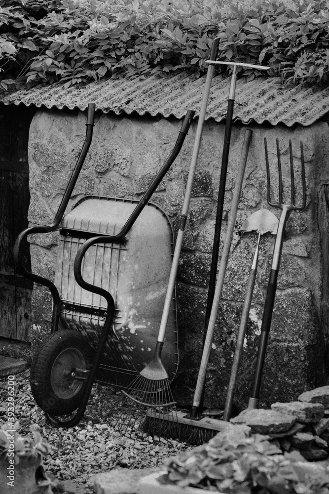 Black and white small backyard home garden with tools