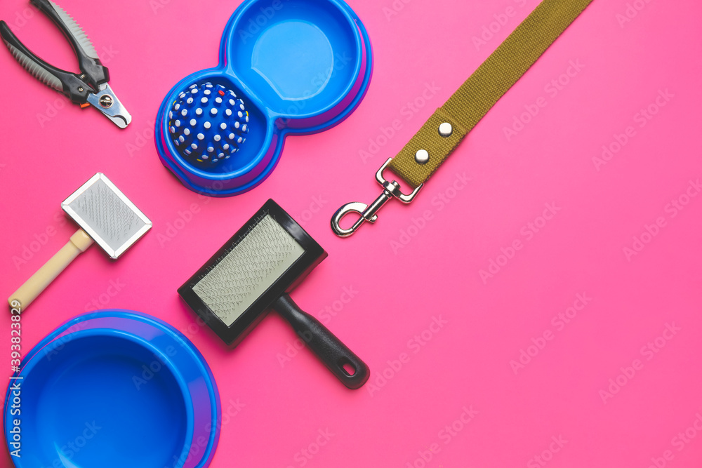 Pet care accessories on color background