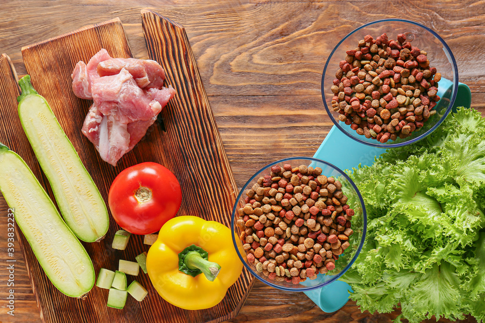 Dry and fresh pet food on wooden background