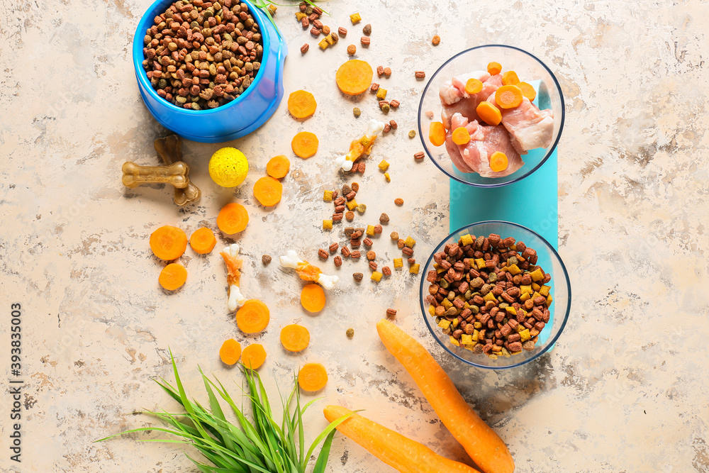 Dry and fresh pet food on light background