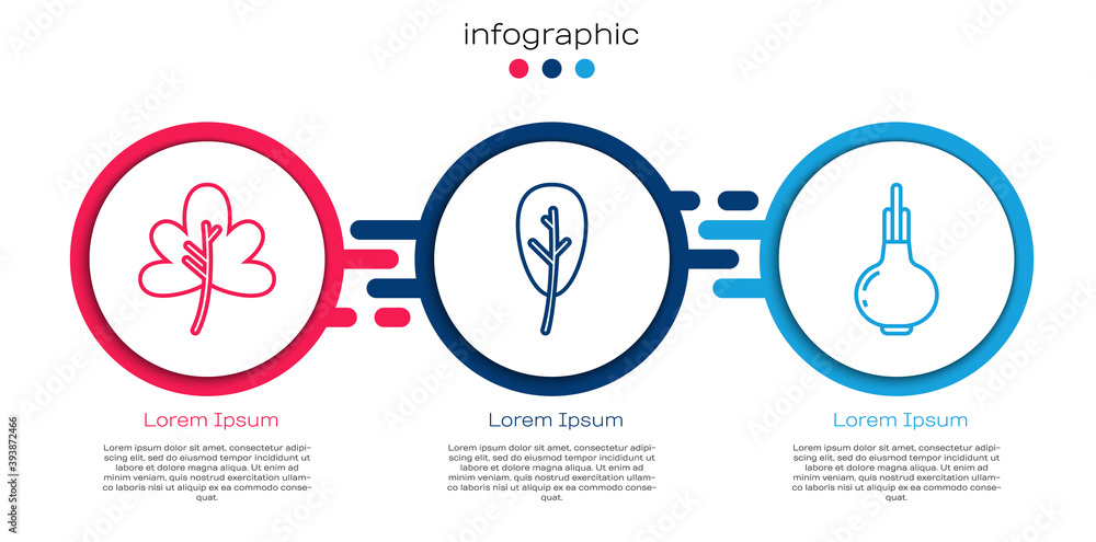 设置行Leaf或leaves、Leaf或leaves和Onion。商业信息图模板。Vector。