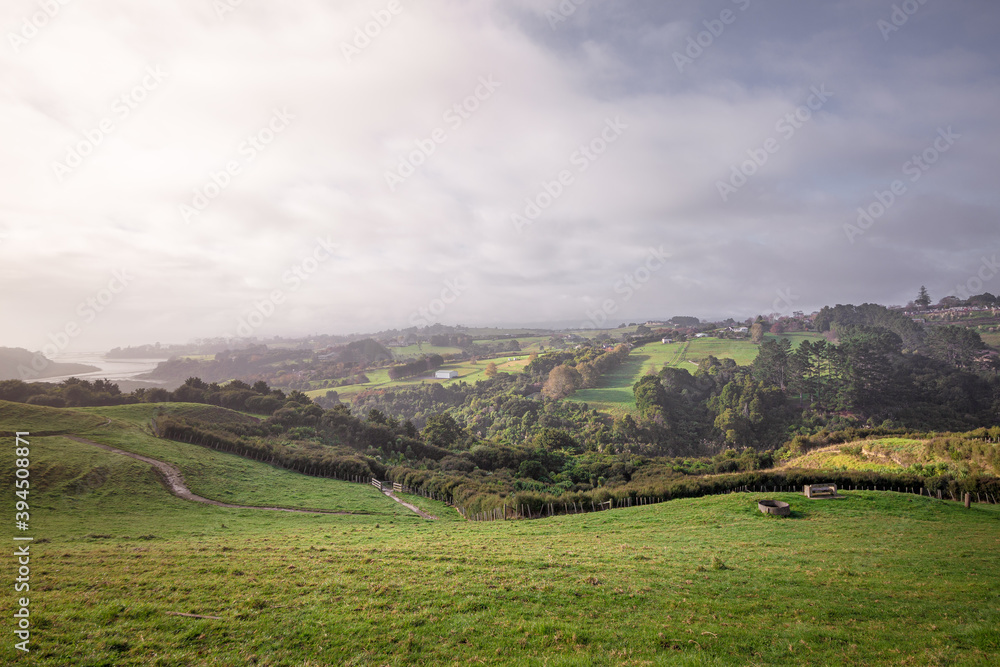 Landscape of region Whitford New Zealand