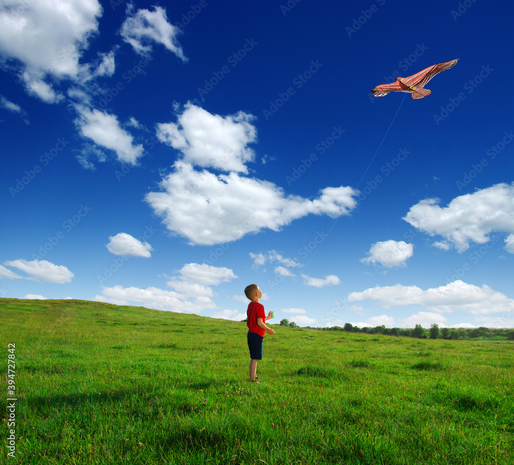  Little boy playing with kite on field