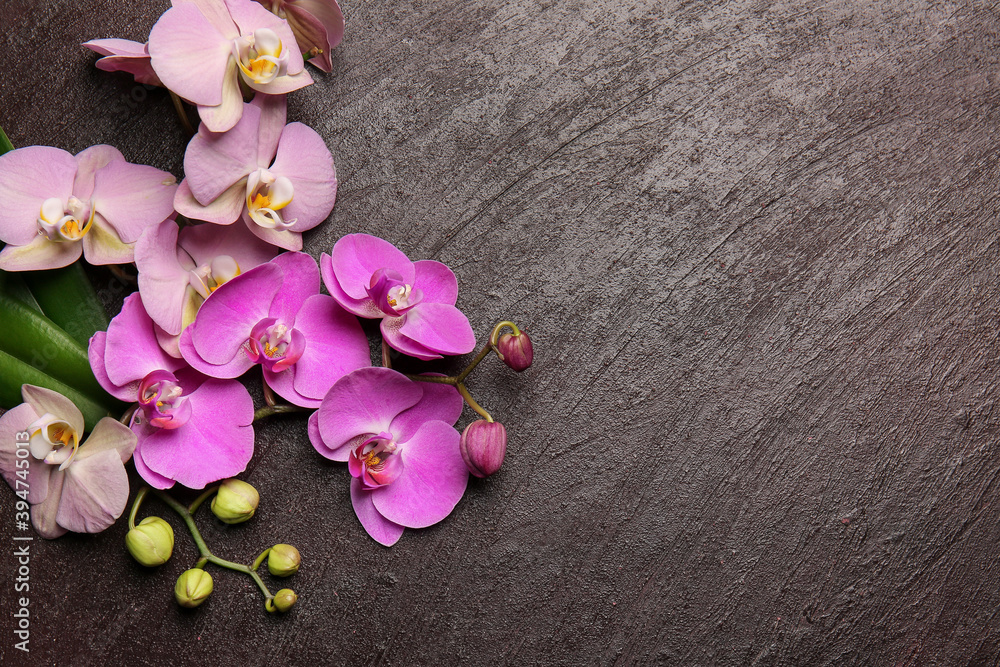 Beautiful orchid flowers on dark background