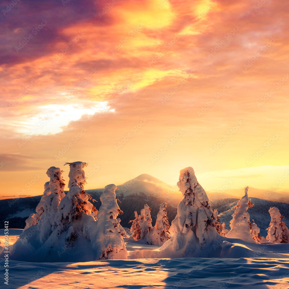 Fantastic winter landscape in snowy mountains glowing by morning sunlight. Dramatic wintry scene wit