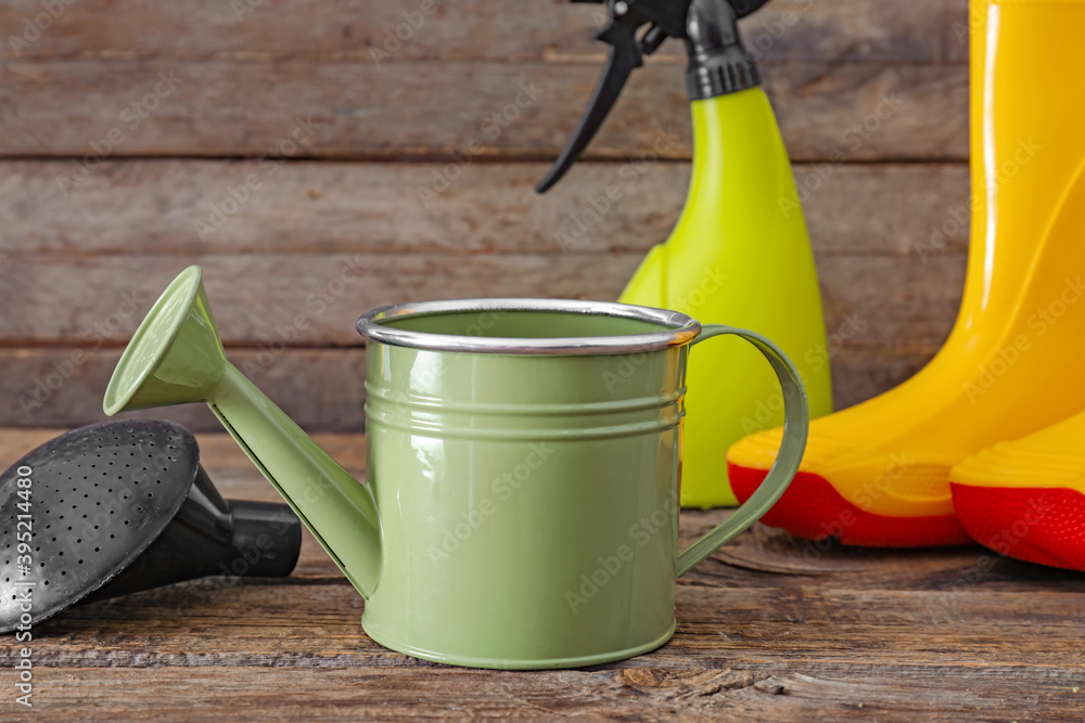 Set of gardening tools on wooden background