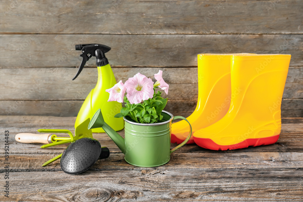 Set of gardening tools on wooden background