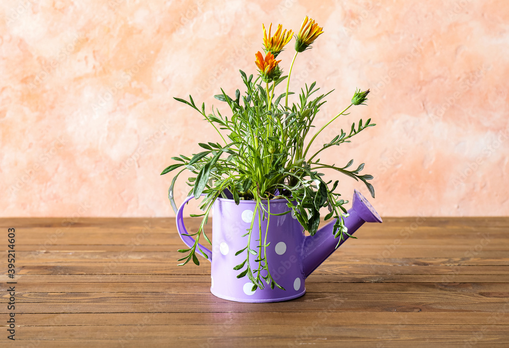 Watering can with flowers on color background