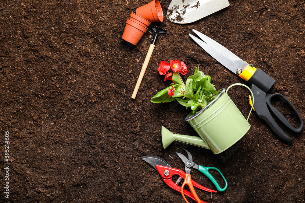 Supplies for gardening with plants on soil