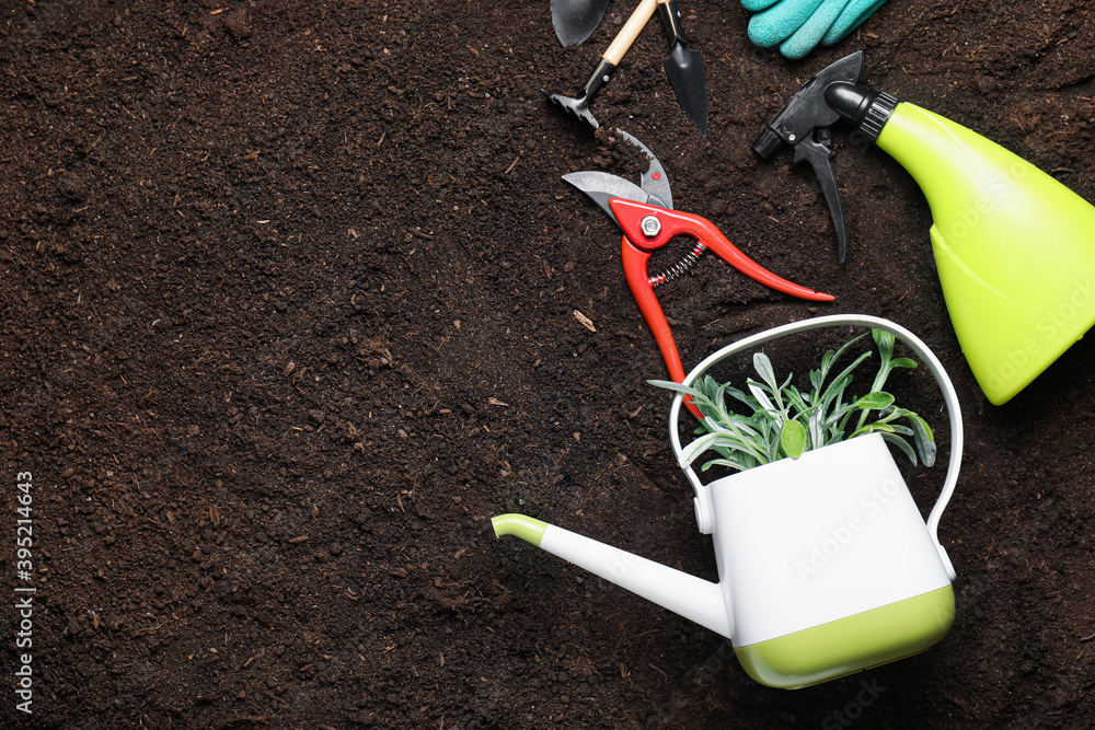 Supplies for gardening with plants on soil background