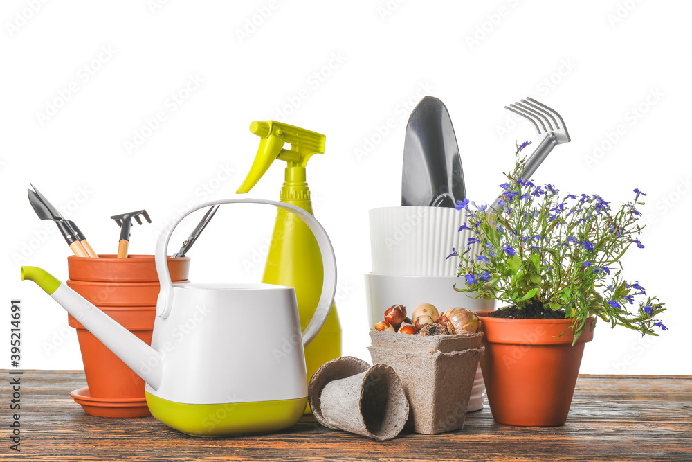 Gardening tools and pot flower on white background