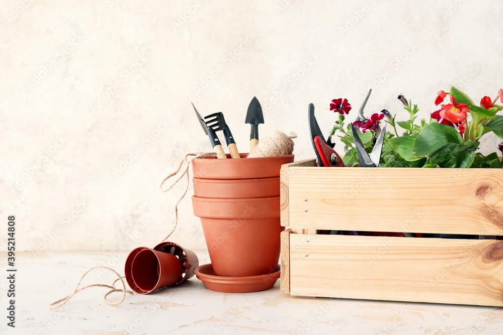 Gardening tools and pot flowers on light background