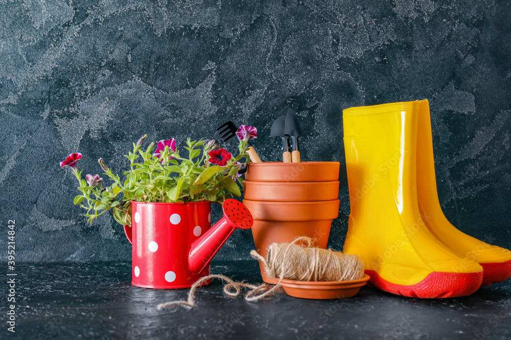 Gardening tools with gumboots and pot flower on dark background