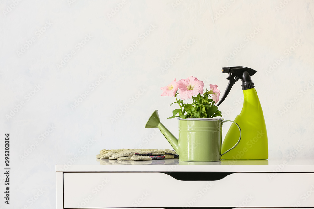 Watering can with flowers in room