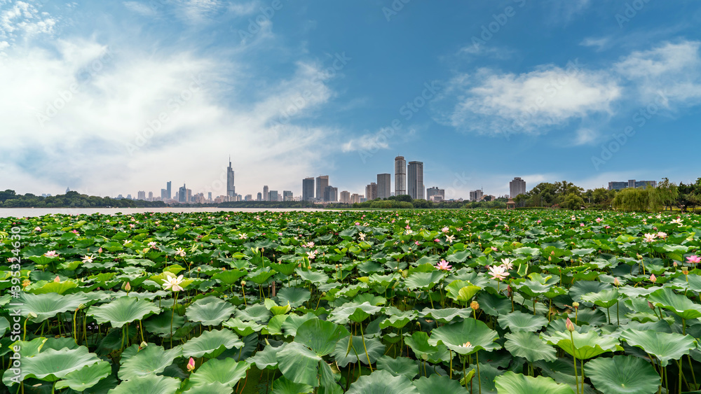 南京现代城市建筑的天际线