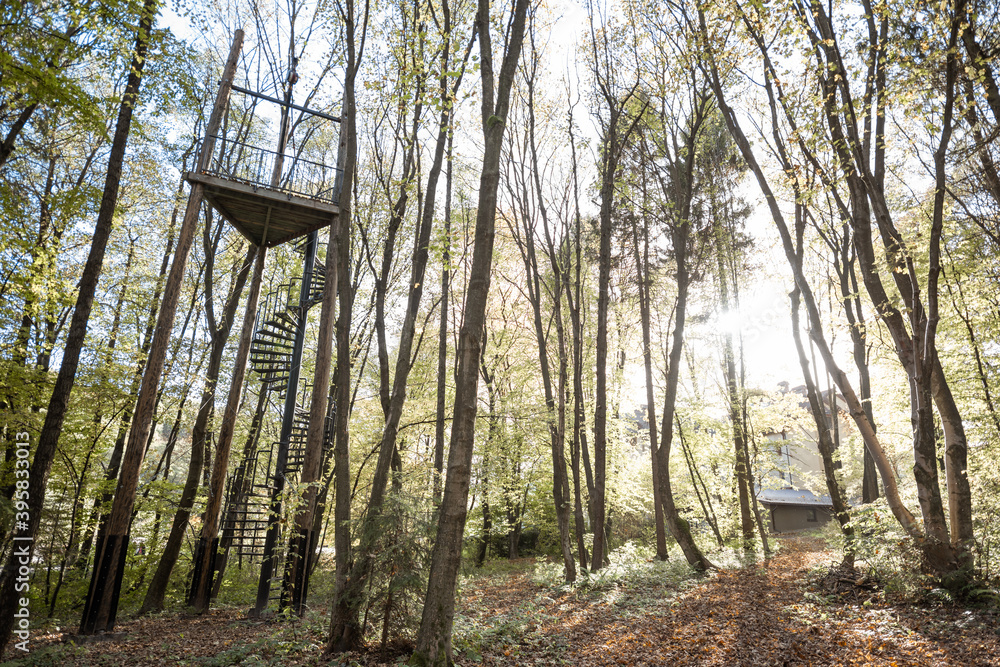 Amusement park with rope jumping tower in the forest