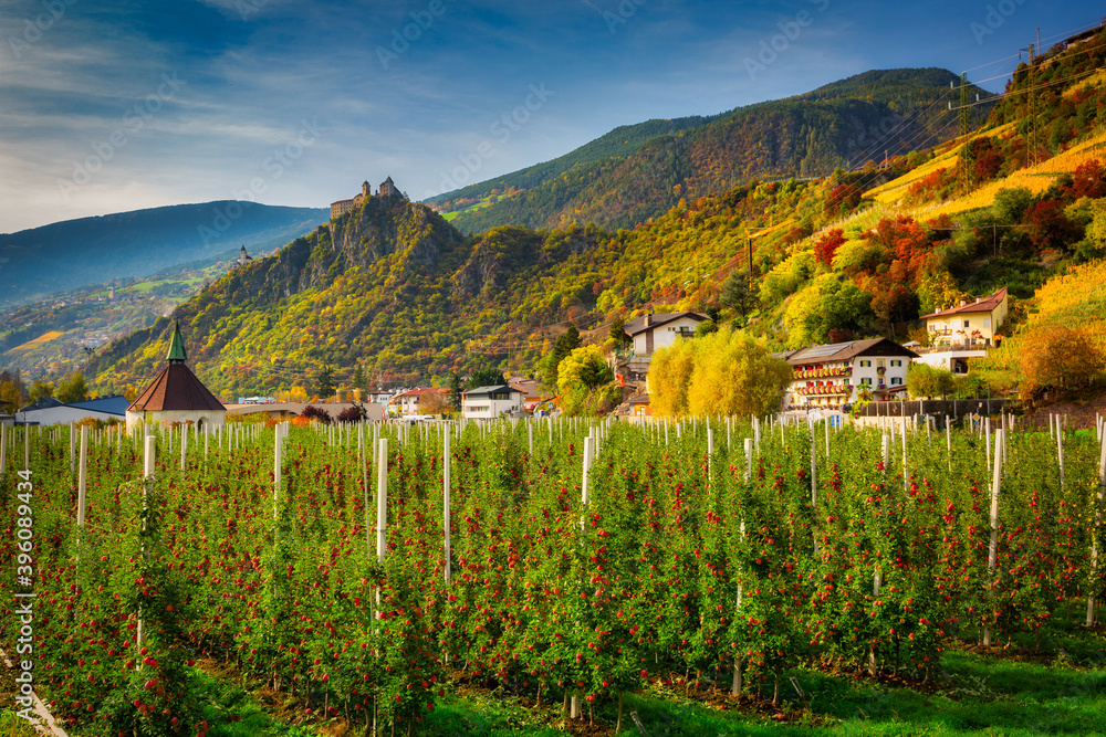 Farm of apple trees under the beautiful Saben Abbey in South Tyrol, Italy