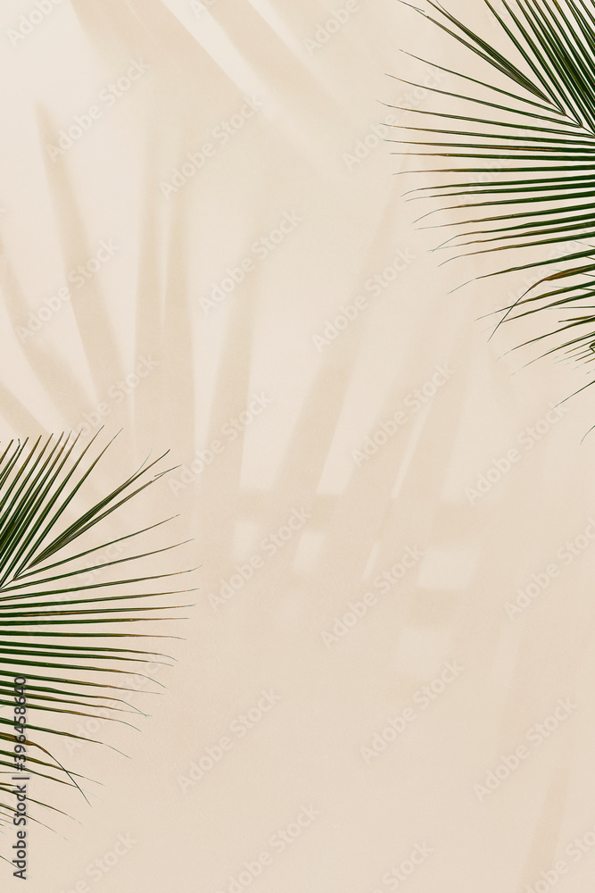 Fresh palm leaves on beige background