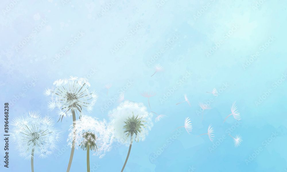 Hand drawn dandelions with a blue sky